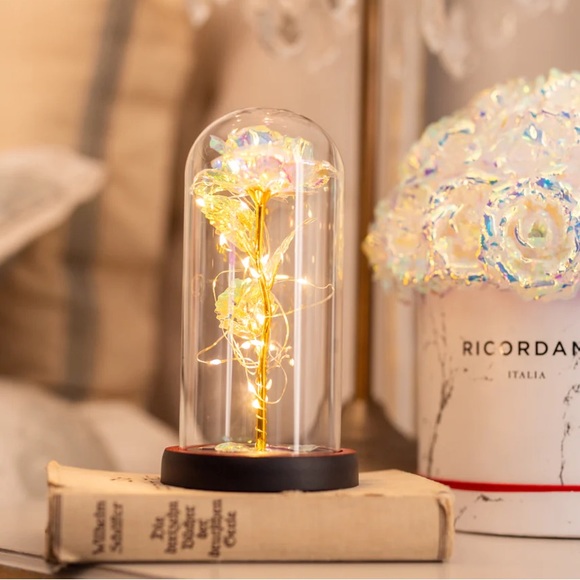 BRAND NEW Glass encased light up enchanted rose forever rose Valentine's Day - Picture 2 of 4